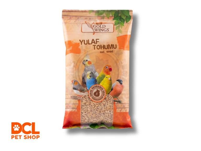 Gold Wings Premium Yulaf Tohumu Kuş Yemi 400 gr (Ekonomik Seri)